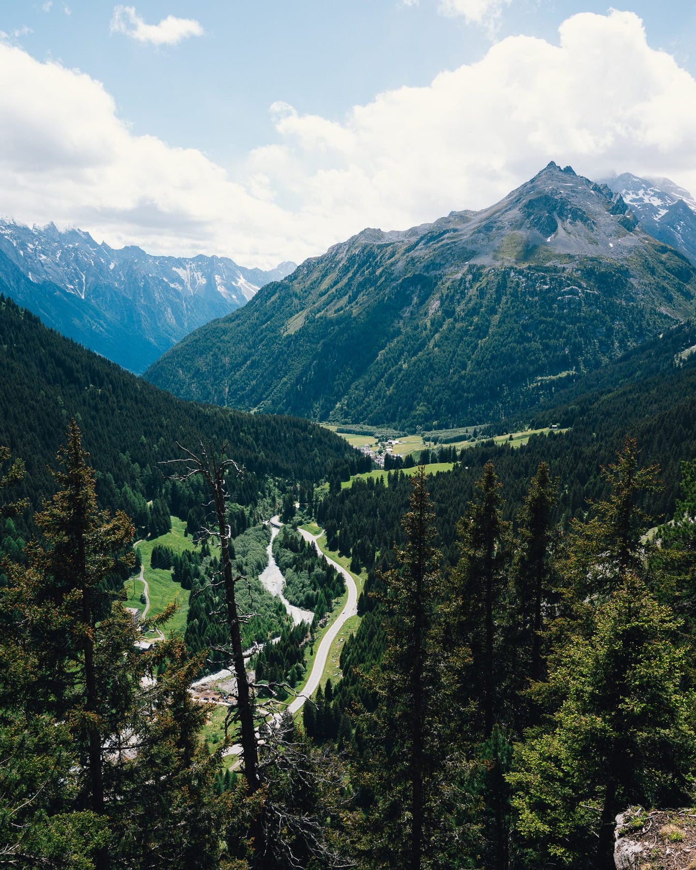 UNIMATIC x Biennale Bregaglia | The Great Motion